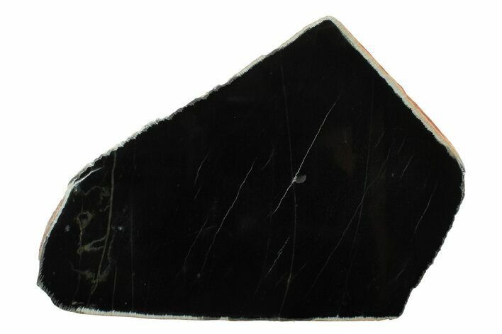 Polished Black Jade (Actinolite) Section - Western Australia #240188